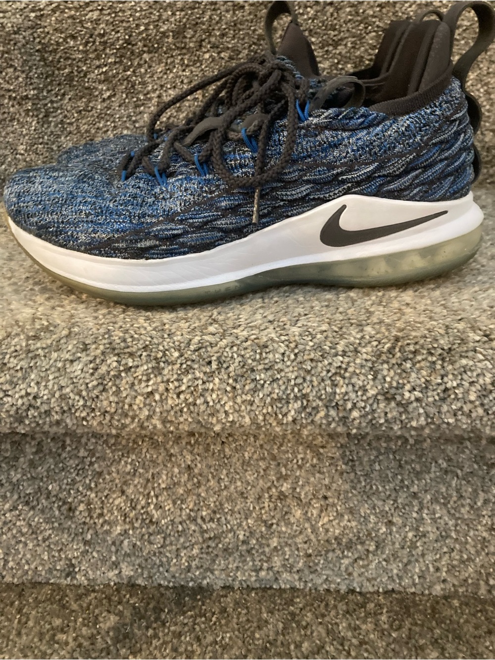 LeBron James 15 basketball shoes